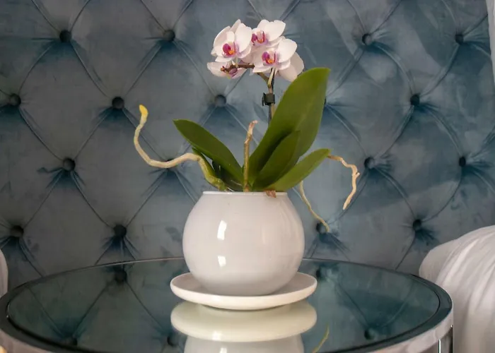 Nouvelle Maison Rome Luxury Palace